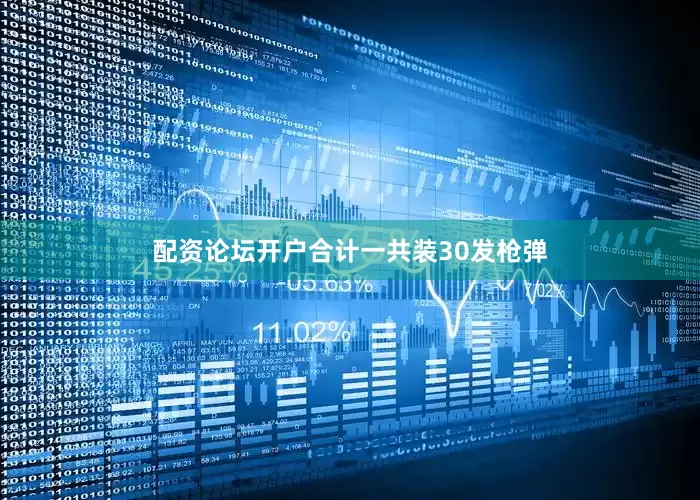 配资论坛开户合计一共装30发枪弹
